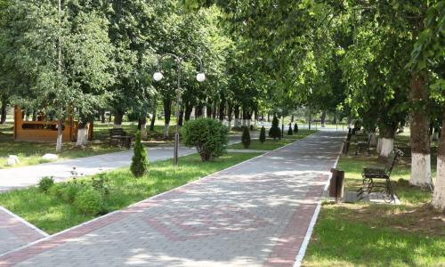 Санаторий Березина Минская область - Фото 15. Территория