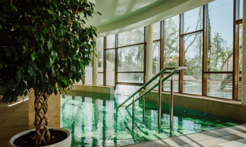 Свисс отель Резорт Сочи Камелия / «Swissotel Resort Sochi Kamelia» Сочи - Фото 30. Бассейн крытый