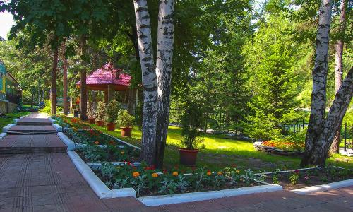 Пансионат Старые друзья Белокуриха - Фото 19. Территория