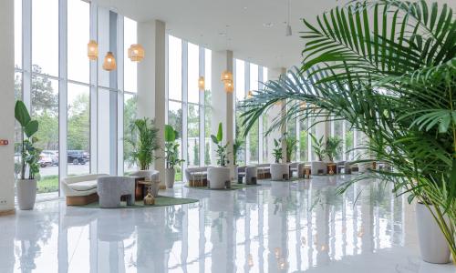 Miracleon Fюnf Luxury Resort SPA Anapa Витязево, Анапа - Фото 24. Холл