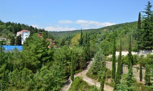 Санаторий Киев Алушта - Фото 40. Территория