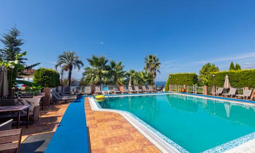 Alex Resort & Spa Hotel Гагра - Фото 12. Бассейн