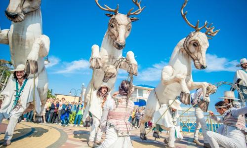 More SPA & Resort / «Море СПА и Резорт» отель Алушта - Фото 49. Мероприятия в отеле