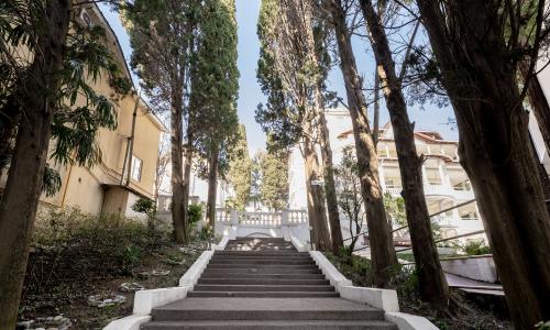 Отель «Ranovsky Park» Сочи - Фото 8. Территория