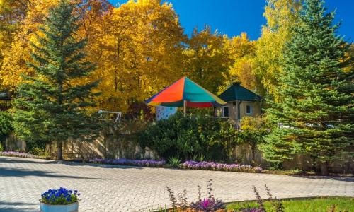 Санаторий Вилла Арнест Кисловодск - Фото 15. Территория