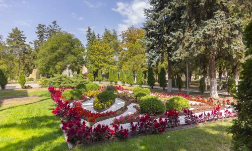 Санаторий Анджиевского Ессентуки - Фото 8. Анджиевского санаторий_территория (7)