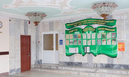 Санаторий Берестье Брестская область - Фото 12. Холл