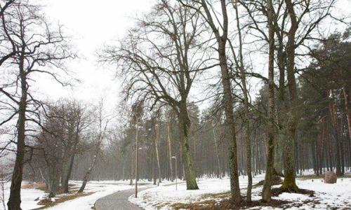 Санаторий Свитязь Гродненская область - Фото 16. Территория