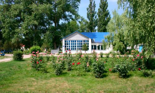 Пансионат Солнечный берег Анапа - Фото 12. Территория