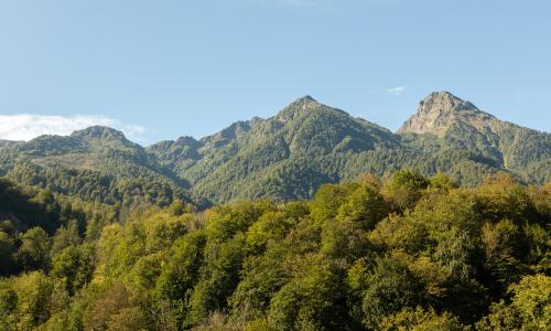 Отель Эрбелия от Васта (ex. Mercure Rosa Khutor) Роза Хутор, Сочи - Фото 12. Виды