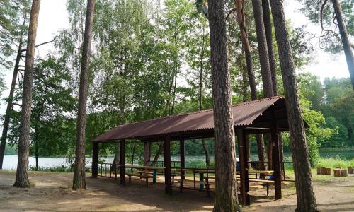 Санаторий Жемчужина Витебская область - Фото 22. Территория