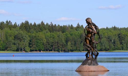Санаторий Свитязь Гродненская область - Фото 12. Территория