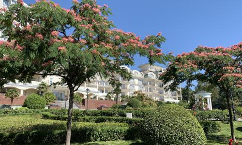 Отель PALMIRA PALACE Ялта - Фото 1. Территория