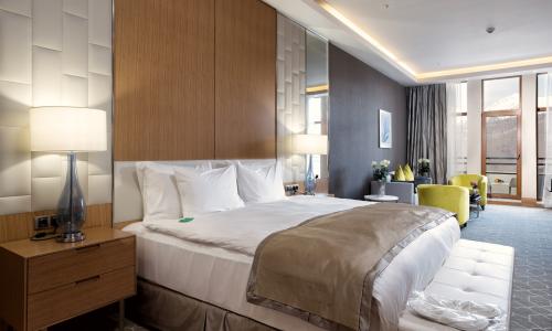Отель RIXOS Krasnaya Polyana Sochi Эсто-Садок, Красная Поляна, Сочи - Фото 45. Премиум