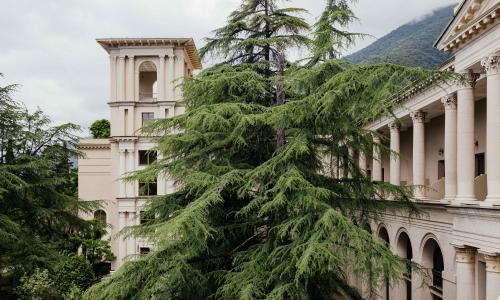 Amra Park-hotel SPA Гагра - Фото 22. Территория