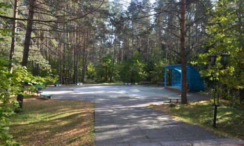 Санаторий Белая Русь Минская область - Фото 16. Территория