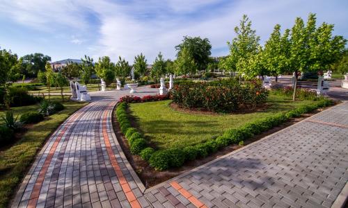 Санаторий Сакрополь Саки (Республика Крым) - Фото 17. Территория