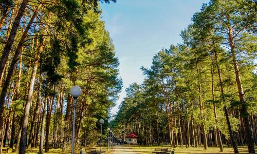 Санаторий Солнечный Брестская область - Фото 11. Территория