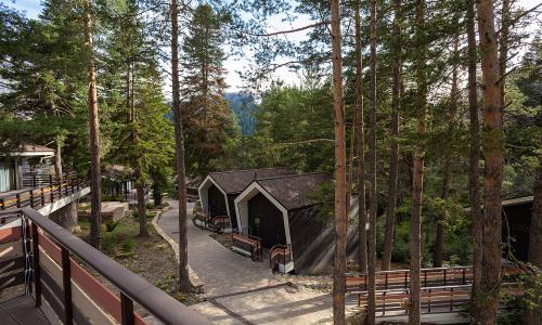 Mairi Park Hotel / Майри Парк Архыз - Фото 7