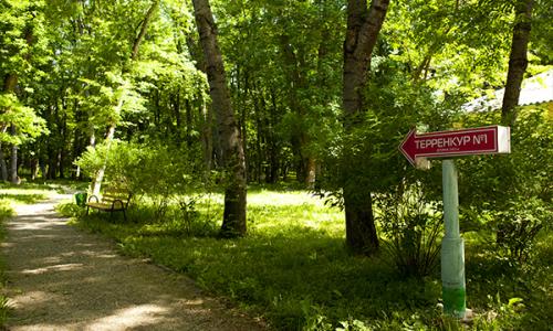 Санаторий Лесной Железноводск - Фото 12. Территория