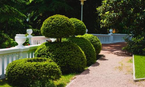 More SPA & Resort / «Море СПА и Резорт» отель Алушта - Фото 19. Территория