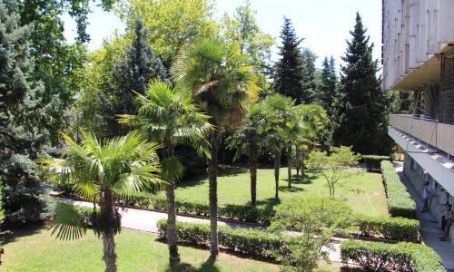 Санаторий Славутич Алушта - Фото 14. «Славутич» санаторий