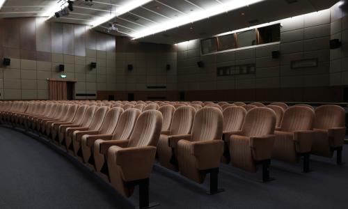Санаторий Одиссея Лазаревское, Сочи - Фото 49. Конференц-зал