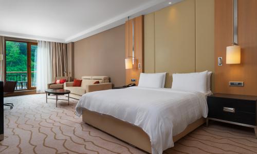 Sochi Marriott Krasnaya Polyana Красная Поляна, Сочи - Фото 2. Делюкс 2-местный (с видом на горы)