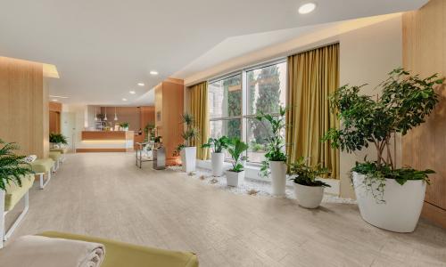 «Mantera Resort Congress 5*» / «Мантера Резорт и Конгресс» отель Сочи - Фото 62. СПА-комплекс (27)