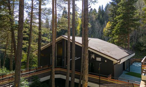 Mairi Park Hotel / Майри Парк Архыз - Фото 11