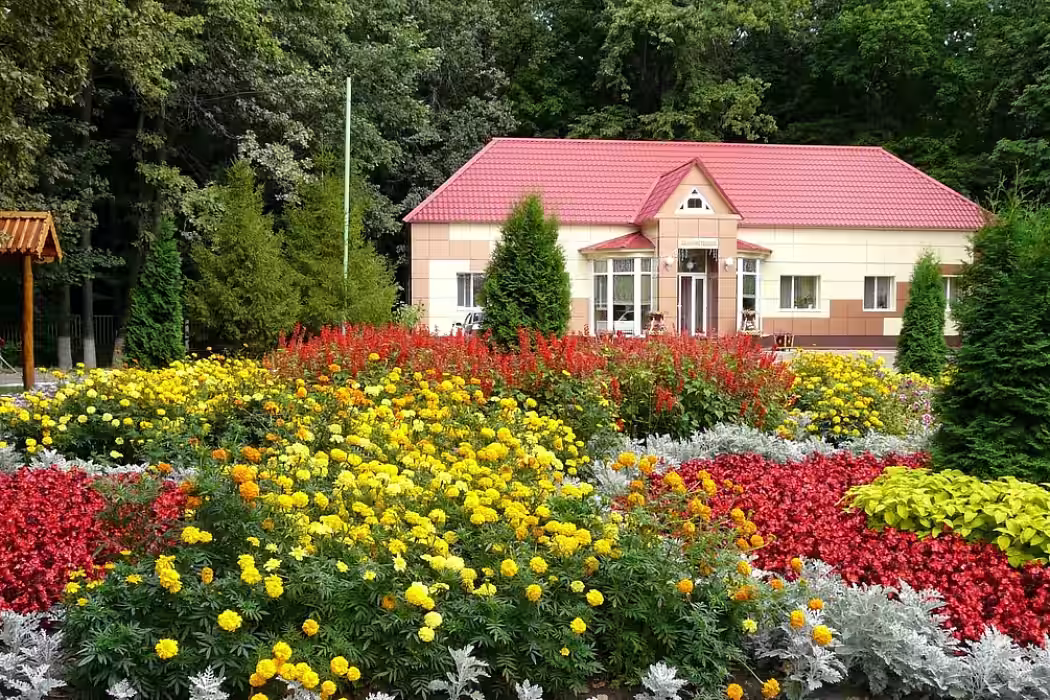 Санаторий Хопровские зори - Фото 1. Общий вид
