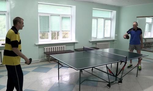 Санаторий Белая Русь Минская область - Фото 28. Настольный теннис