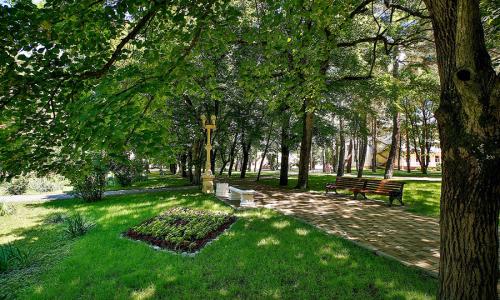 Санаторий Жемчужина моря Кабардинка, Геленджик - Фото 10. Территория