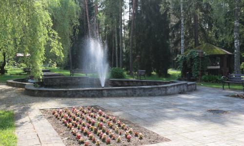 Санаторий Боровое Витебская область - Фото 17. Территория