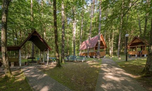 Санаторий Пралеска Гродненская область - Фото 4. Территория