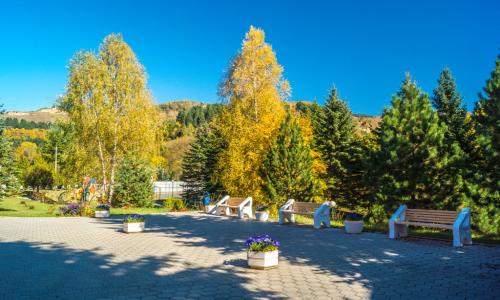 Санаторий Вилла Арнест Кисловодск - Фото 14. Территория