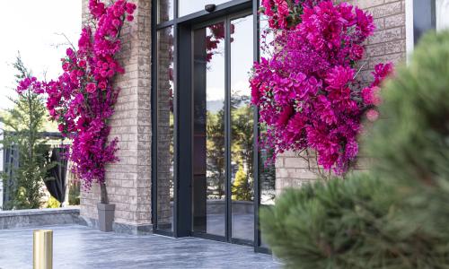 «Lotus Hotel & SPA» / «Лотос СПА» отель Геленджик - Фото 10. Внешний вид