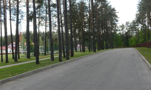 Санаторий Сосны Гомельская область - Фото 14. Территория санатория