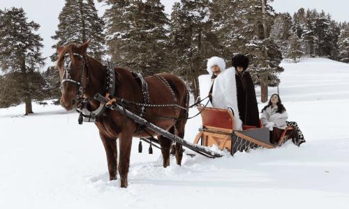 «Arkhyz Royal Resort & Spa» / «Архыз Роял Резорт и СПА» отель Архыз - Фото 6. Развлечения