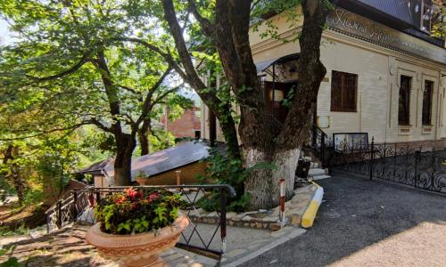 Княжна Мери медицинский центр Железноводск - Фото 8. Территория