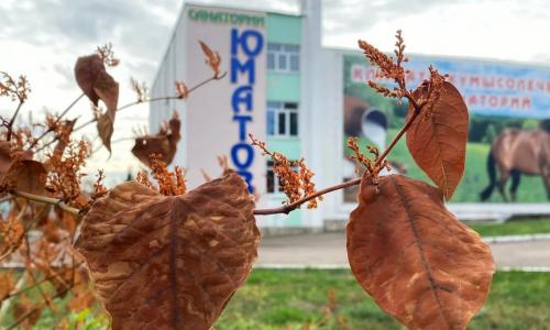 Санаторий Юматово Республика Башкортостан - Фото 9. Территория