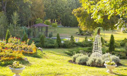 Санаторий Дубрава