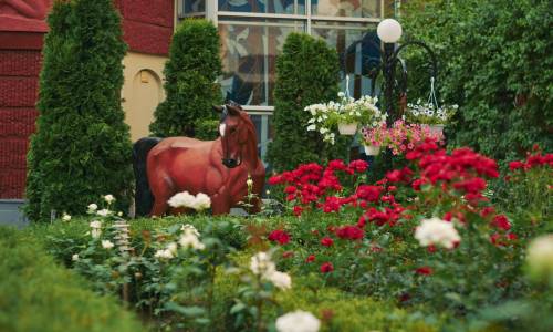 Санаторий Виктория - Фото 8