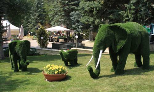 Санаторий Пятигорский Нарзан - Фото 7