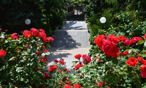 Санаторий Кирова