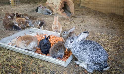 Санаторий Октябрьский «РЖД-ЗДОРОВЬЕ» - Фото 56
