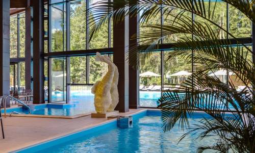 Отель «LES Art Resort» Москва и Подмосковье - Фото 23. Бассейн крытый