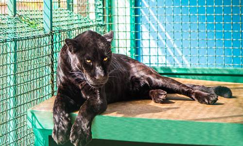 Санаторий Октябрьский «РЖД-ЗДОРОВЬЕ» - Фото 55