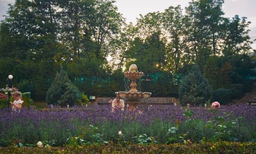 Санаторий Виктория - Фото 6