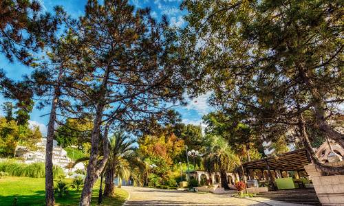 Санаторий Заполярье Сочи - Фото 12